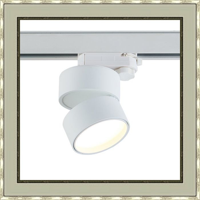 Светодиодный светильник для трехфазной шины DL18960R12W1WTrack