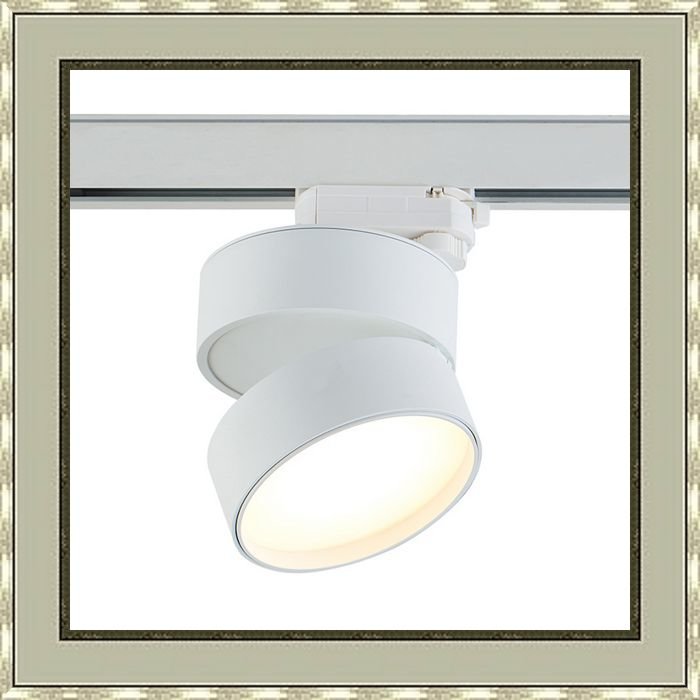 Светодиодный светильник для трехфазной шины DL18960R18W1WTrack