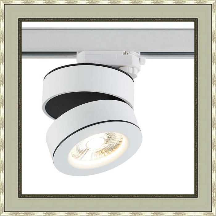Светодиодный светильник для трехфазной шины DL18958R25W1WTrack